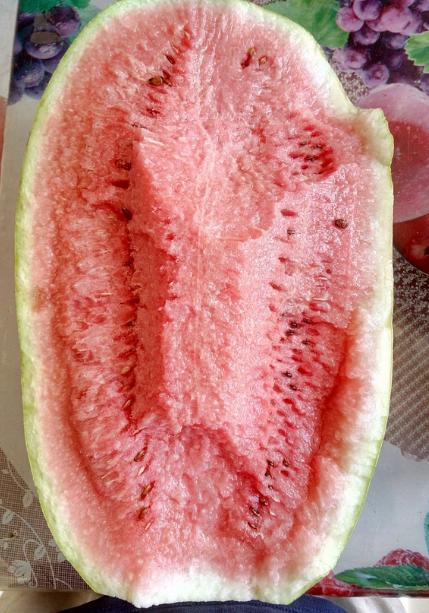 中国十大西瓜产地一览表,中国比较有名的西瓜