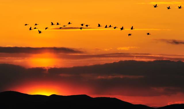 沽源草原天路全景,沽源草原天路怎么样
