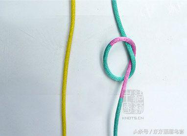 东东画眉鸟套之各种好看实用的绳套你了解吗？