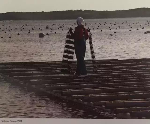 珠宝珍珠怎么选择,珍珠珠宝如何鉴别等级