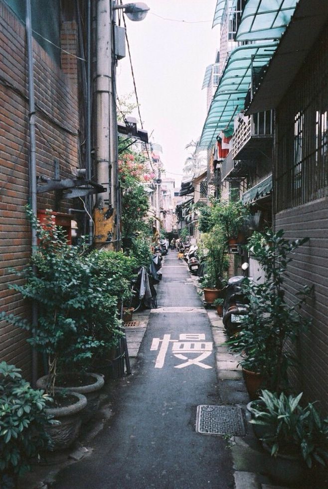 那些爱情最初的模样,那些爱情早已变成了回忆