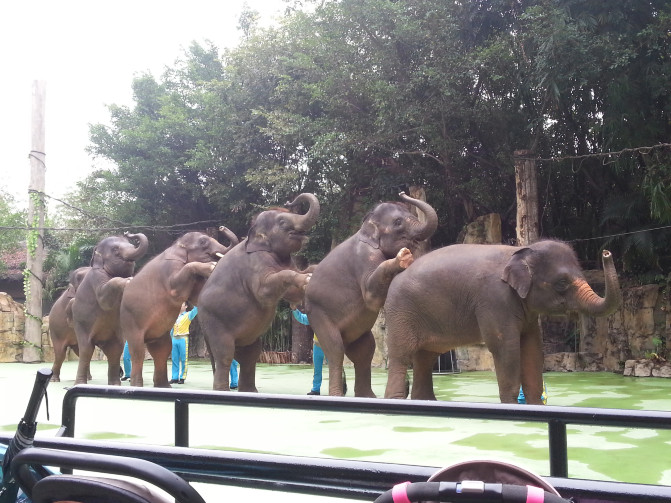 广州香港迪士尼一日游报团,长隆好玩还是迪士尼好玩