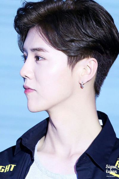 鹿晗勋章歌词壁纸图片,鹿晗壁纸4k全屏帅哥