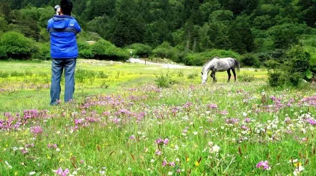 川西康定木格措,四川川西康定风景