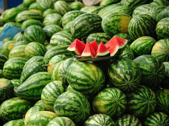 中国十大西瓜产地一览表,中国比较有名的西瓜