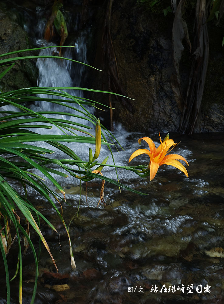 在中国的传统节日,去酉阳感受土家民俗文化