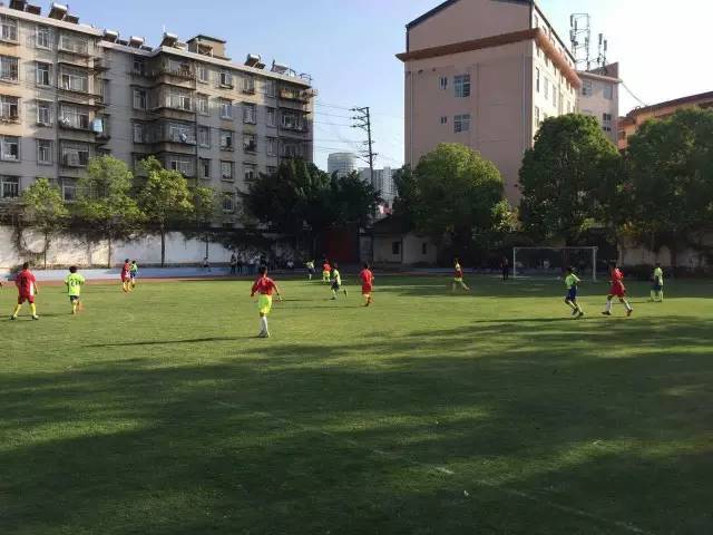 楚雄市篮球青训,楚雄足球协会青训