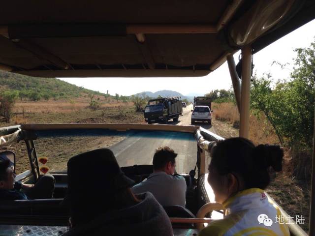 南非旅游照片,从南非回国的人