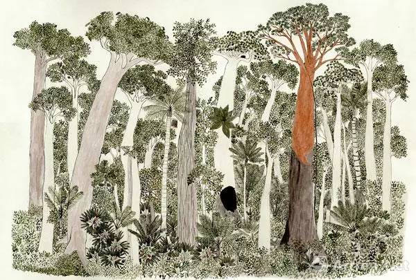 「直击卡塞尔」如何把卡塞尔打造成“最具政治性的”文献展?