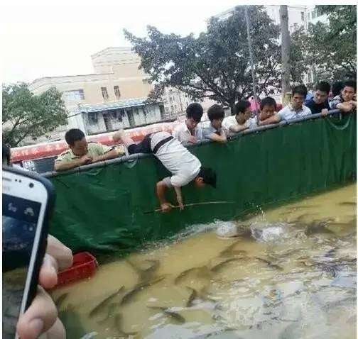 鱼缸不养鱼还能养什么小生物,鱼缸可以养不一样的鱼吗