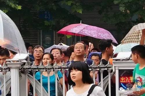 生活早报‖济南拆除百亩违建养牛场，588头奶牛大挪窝