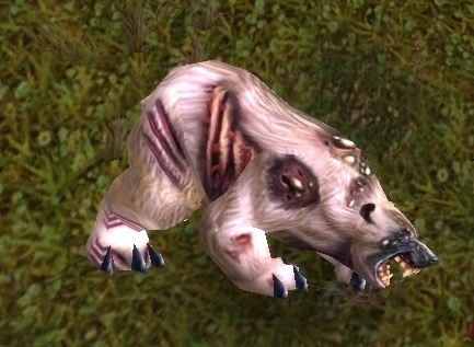 魔兽世界猎人稀有精英宝宝,猎人7.0宝宝推荐