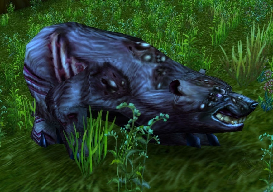 魔兽世界猎人稀有精英宝宝,猎人7.0宝宝推荐