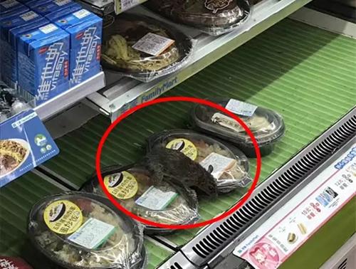 开便利店有老鼠怎么办,全家便利店是怎么回事