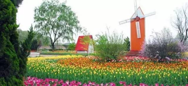 西安最有名旅游景点排名,西安十大值得去的景点排名