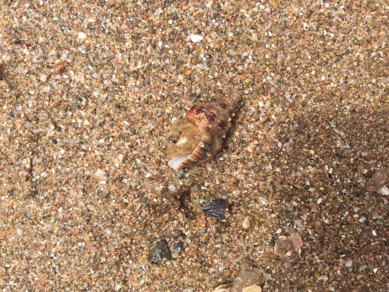 适合开着到处旅行的车,开车能去的绝美海岛