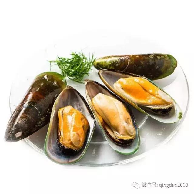 新西兰青口贝规格,新西兰青口贝1000g多少钱
