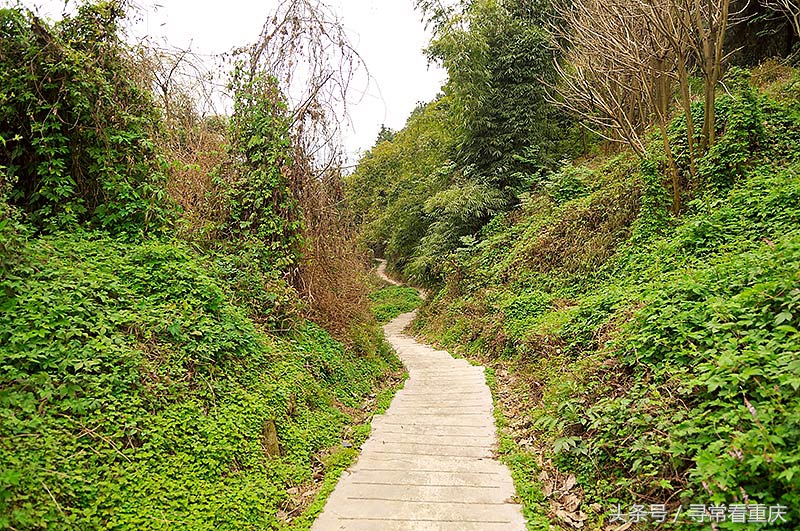 綦江渝黔盐茶古道,探秘鬼传说