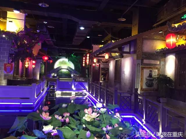 走！我们去火天下看大象跳舞