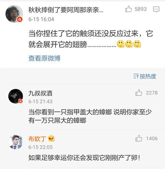 怎么获取淘宝高清的买家秀,新版的淘宝买家秀在哪里