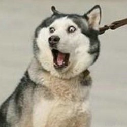 排队2小时玩2分钟值吗,游戏1分钟排队1小时