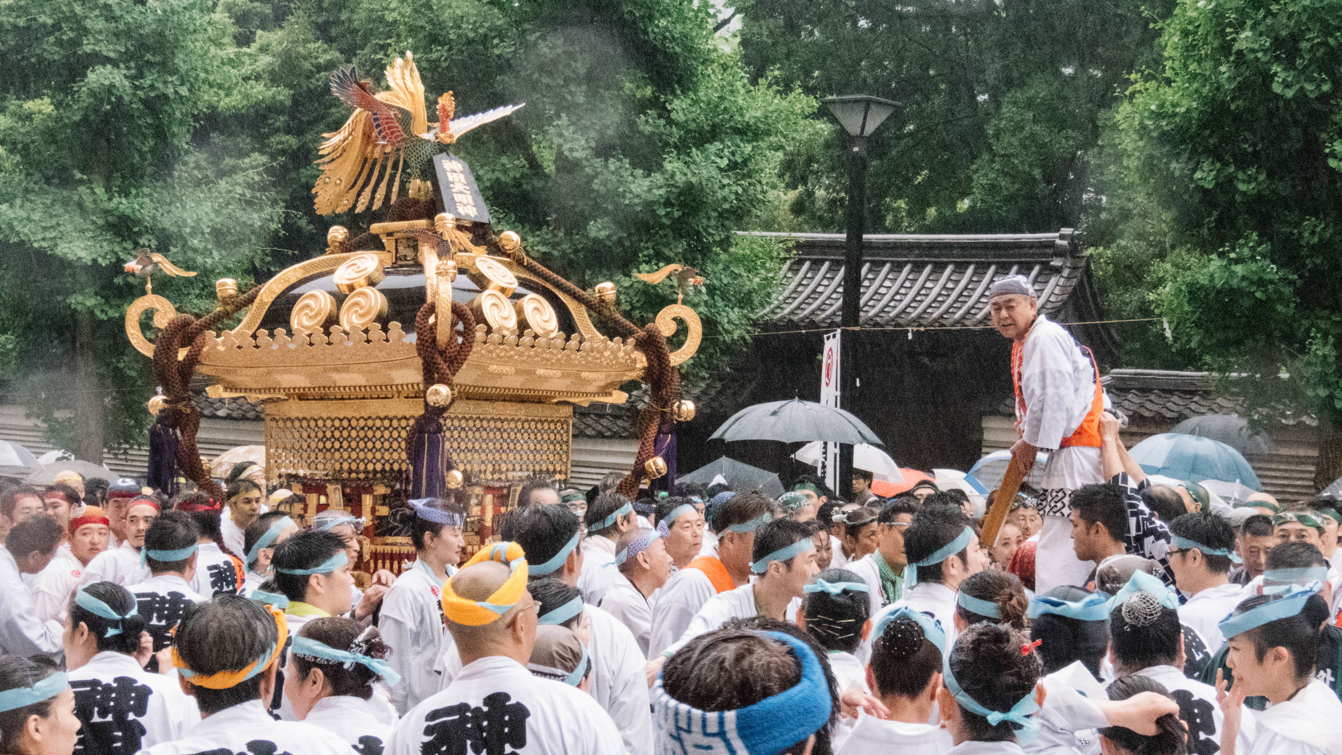 东京镰仓横滨旅游攻略,东京镰仓箱根伊豆富士山路线