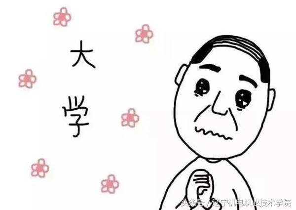 考不上211985就废了么,双非真的考不上211985吗