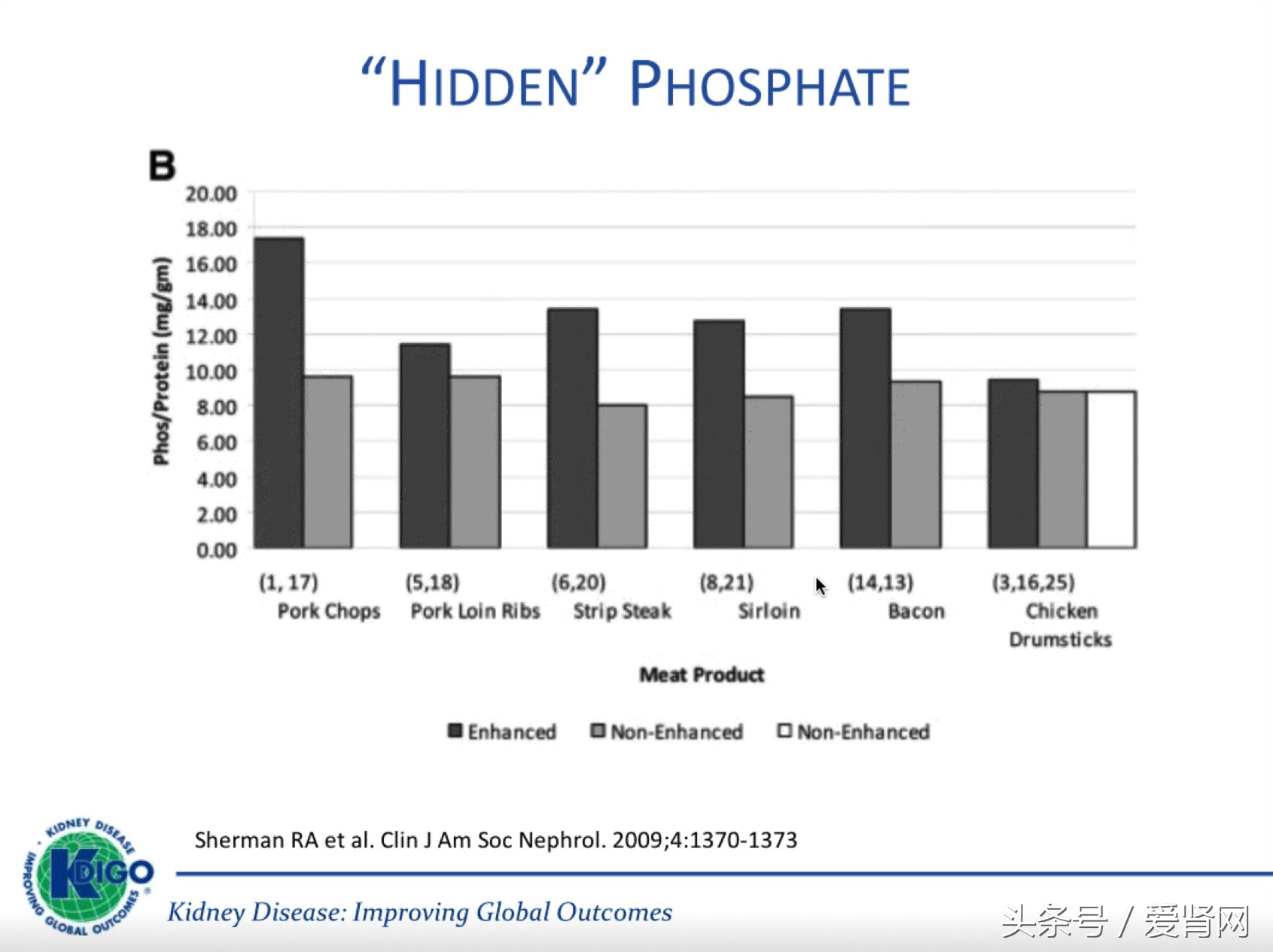 2023kdigo鎸囧崡瑙ｈ,kdigo涓村簥瀹為獙鎸囧崡