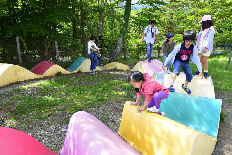 带孩子游日本攻略,带孩子去日本玩攻略