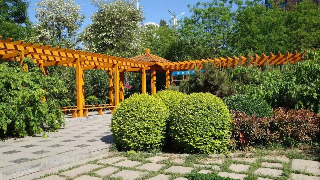 石家庄和平公园需要门票吗,石家庄和平公园几个门