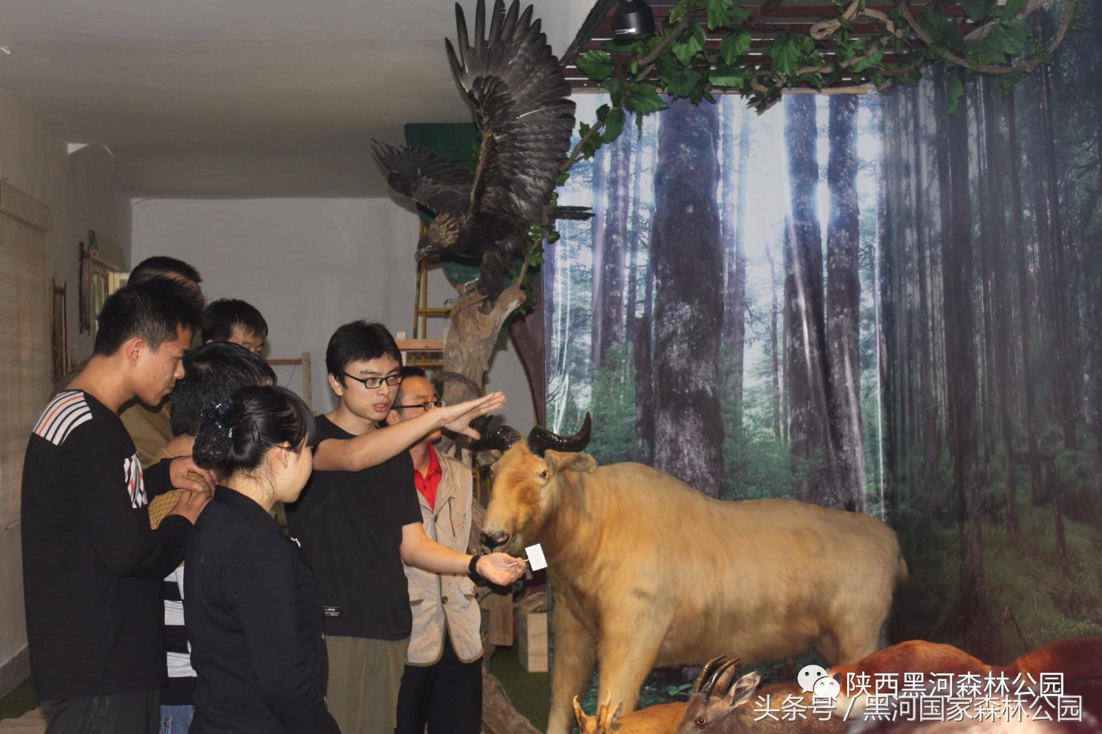 黑河风光,黑河自然风景