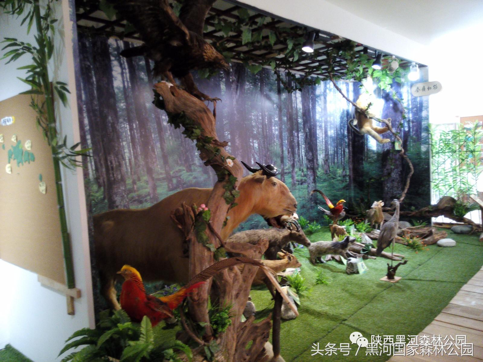 黑河风光,黑河自然风景