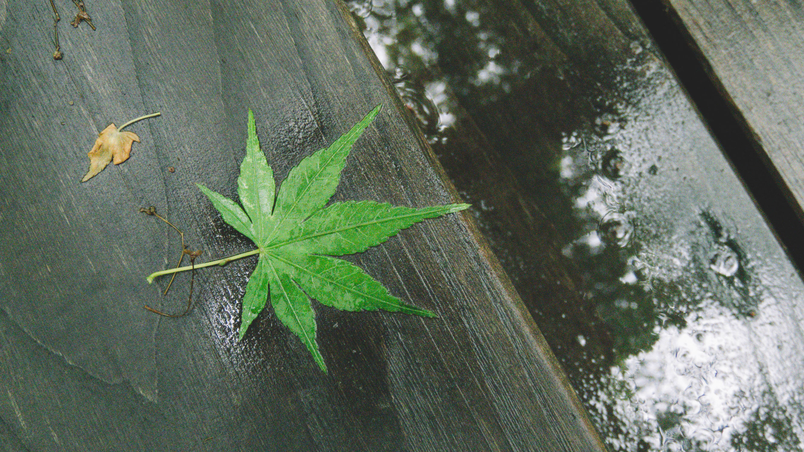 东京镰仓横滨旅游攻略,东京镰仓箱根伊豆富士山路线