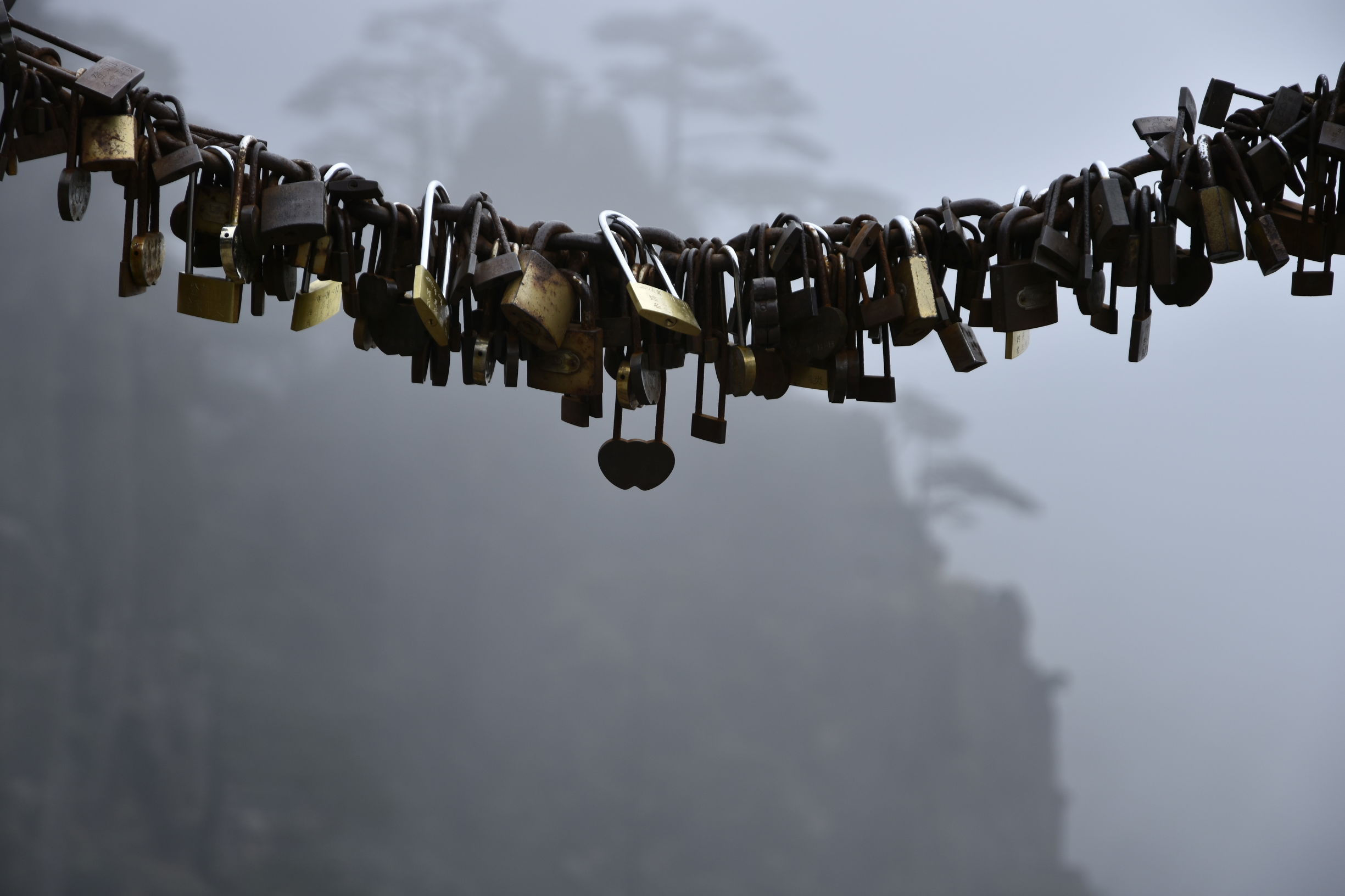 黄山连心锁在什么地方,黄山连心锁多少钱