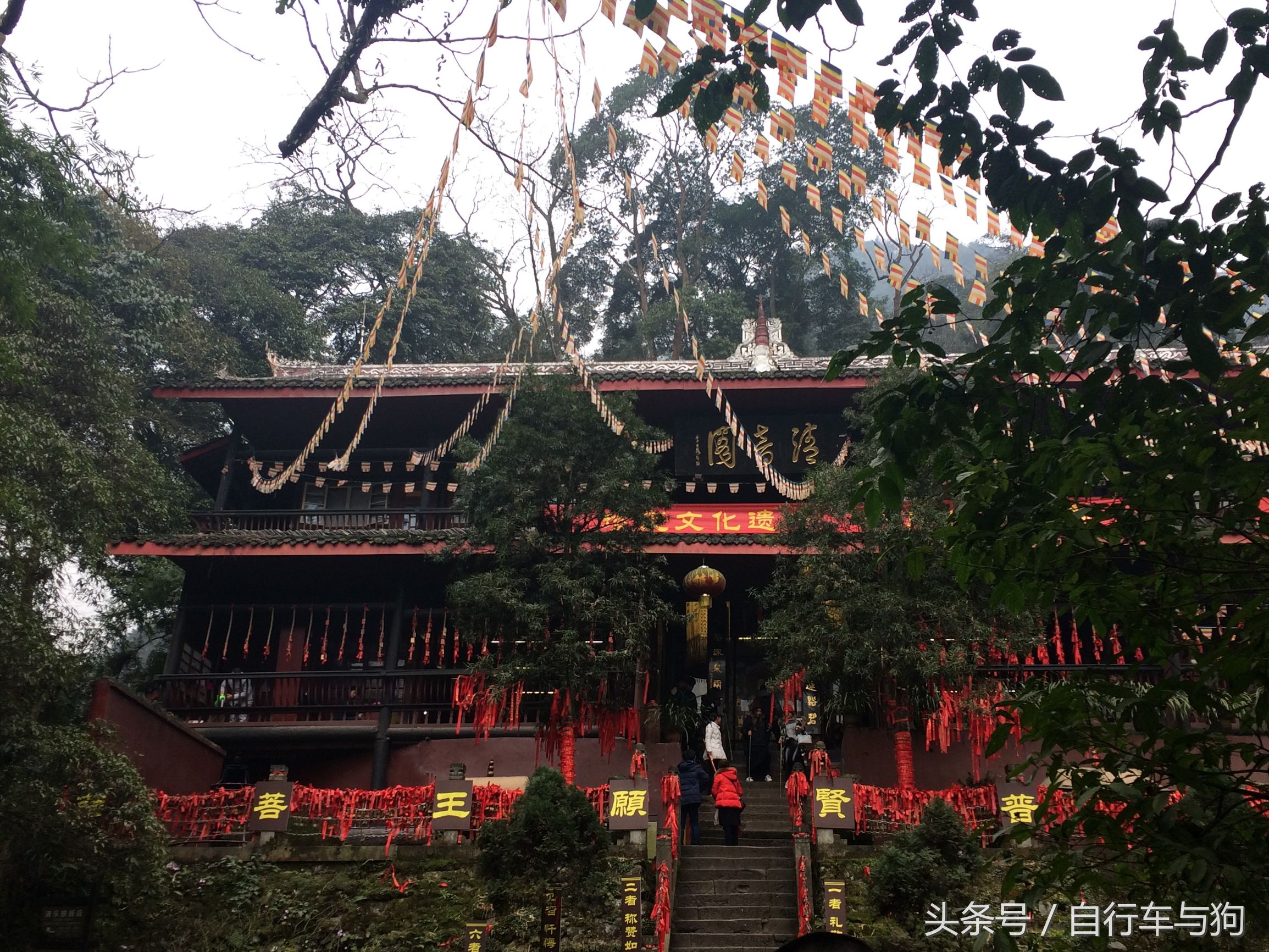 三大家一起游峨眉山,23岁女生独游峨眉山失联