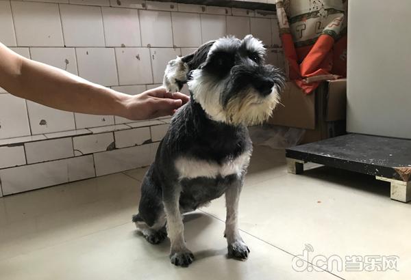 王者荣耀带练接单多少钱,王者荣耀带练费用