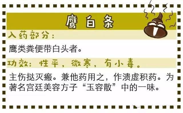 谈谈中药的奇葩事:粪便当中药,口味也太重了吧!你吃得下吗?