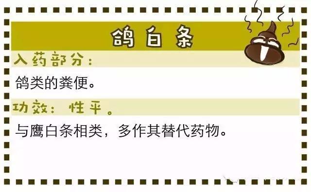 谈谈中药的奇葩事:粪便当中药,口味也太重了吧!你吃得下吗?