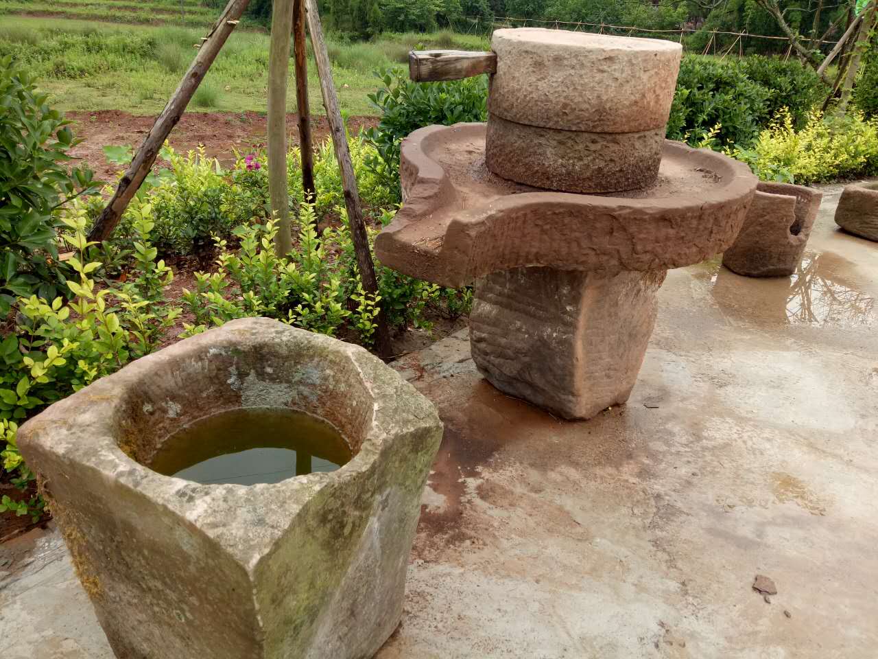 南充市世阳镇最新视频,南充世阳镇最新消息