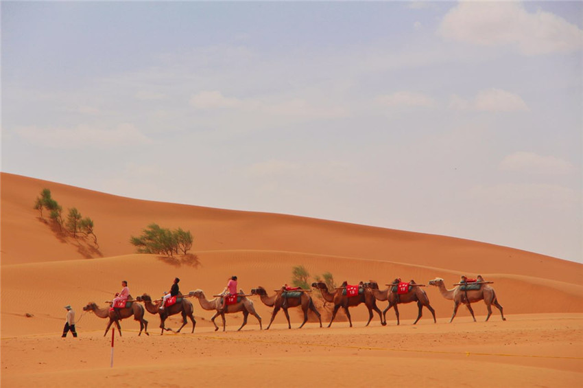 宁夏沙坡头旅游景区,关于宁夏沙坡头景点介绍