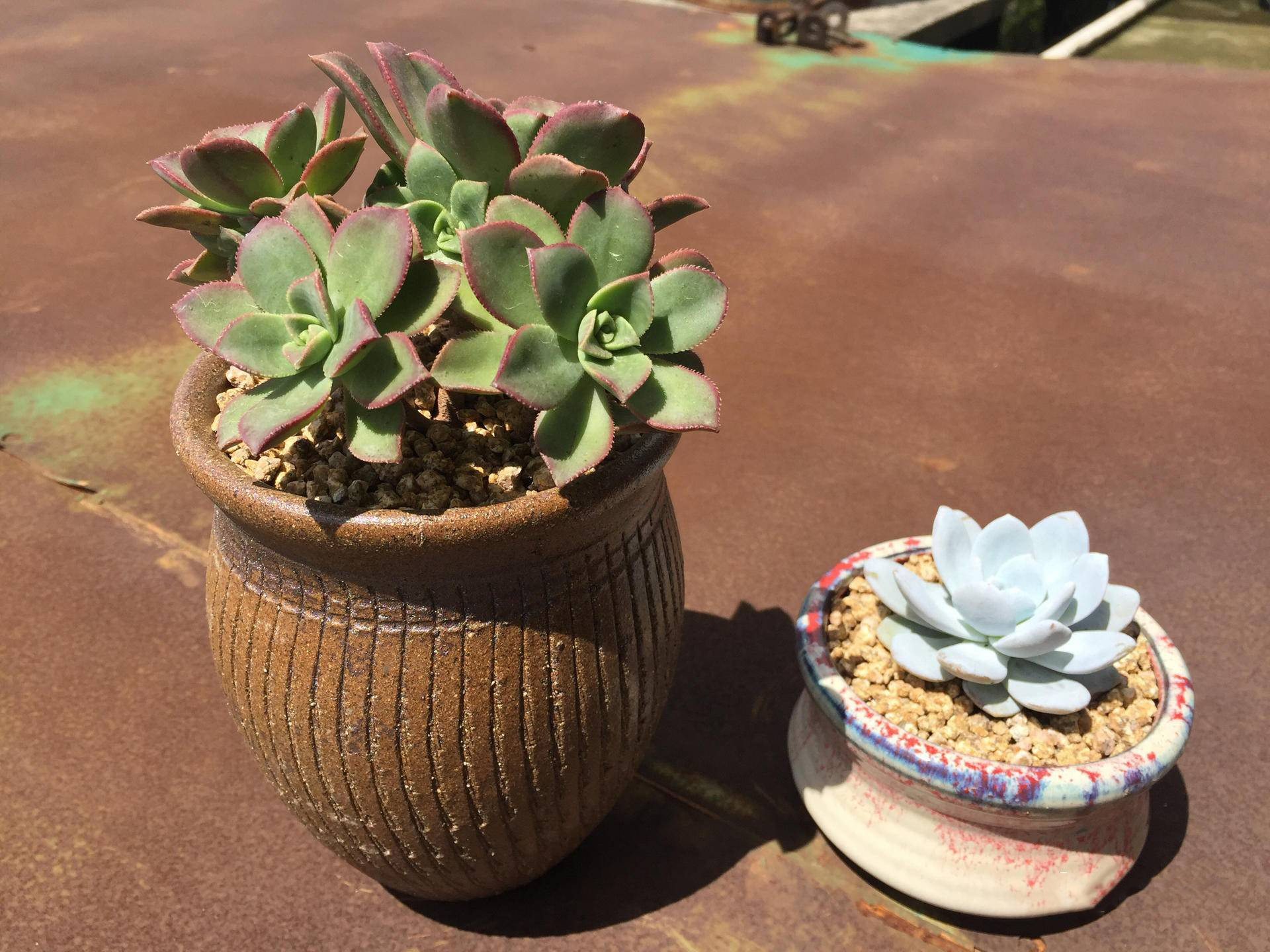 生锈的破铁门图片,生锈的铁门破了