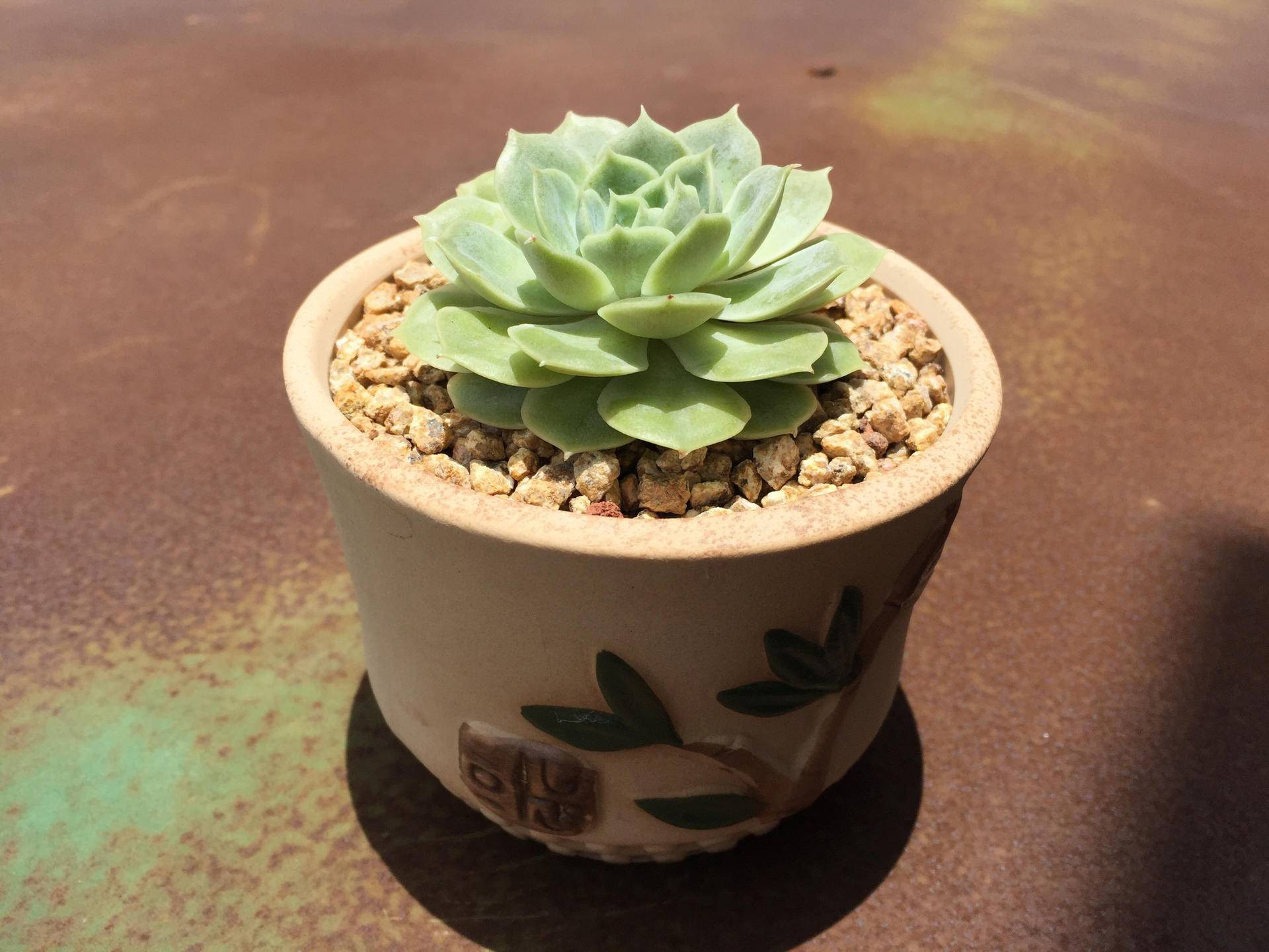 生锈的破铁门图片,生锈的铁门破了