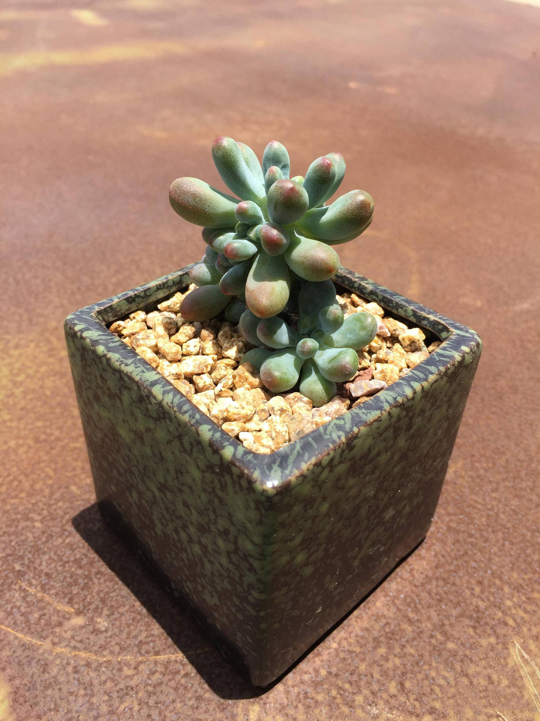 生锈的破铁门图片,生锈的铁门破了