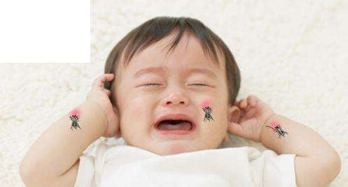 宝宝被蚊子咬了大包怎么处理,为什么皮肤被蚊子咬后起了很大包