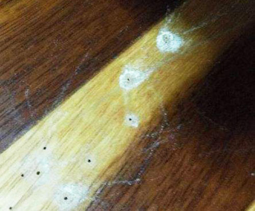 木地板被虫蛀怎么办,木地板虫蛀了一个洞眼怎么修复