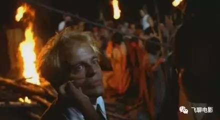 一头倔强的驴子,一头倔强的驴