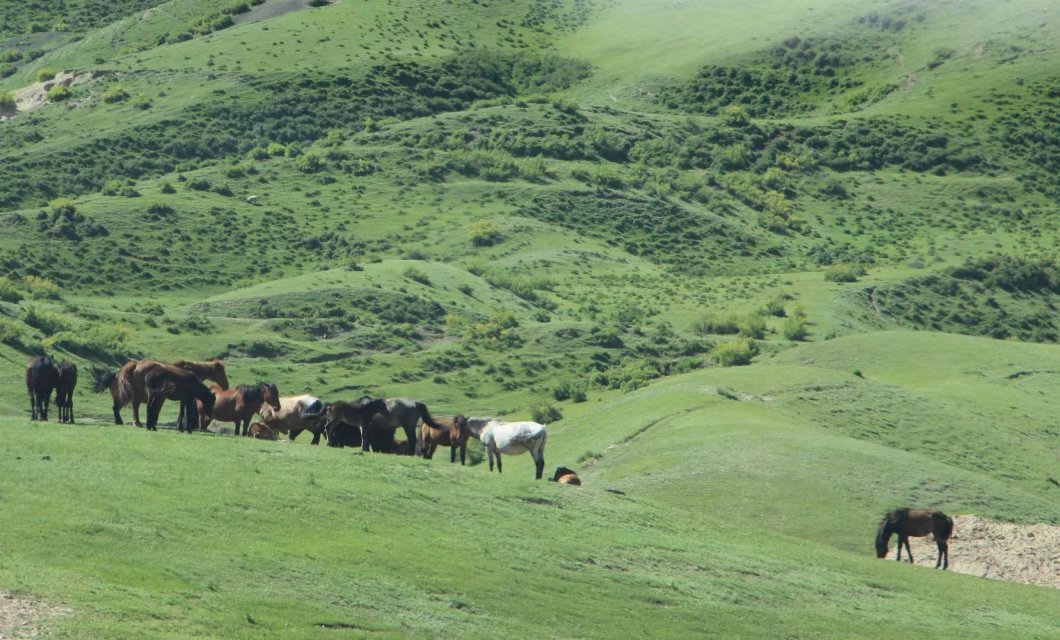 乌鲁木齐石人沟民俗,乌鲁木齐风情