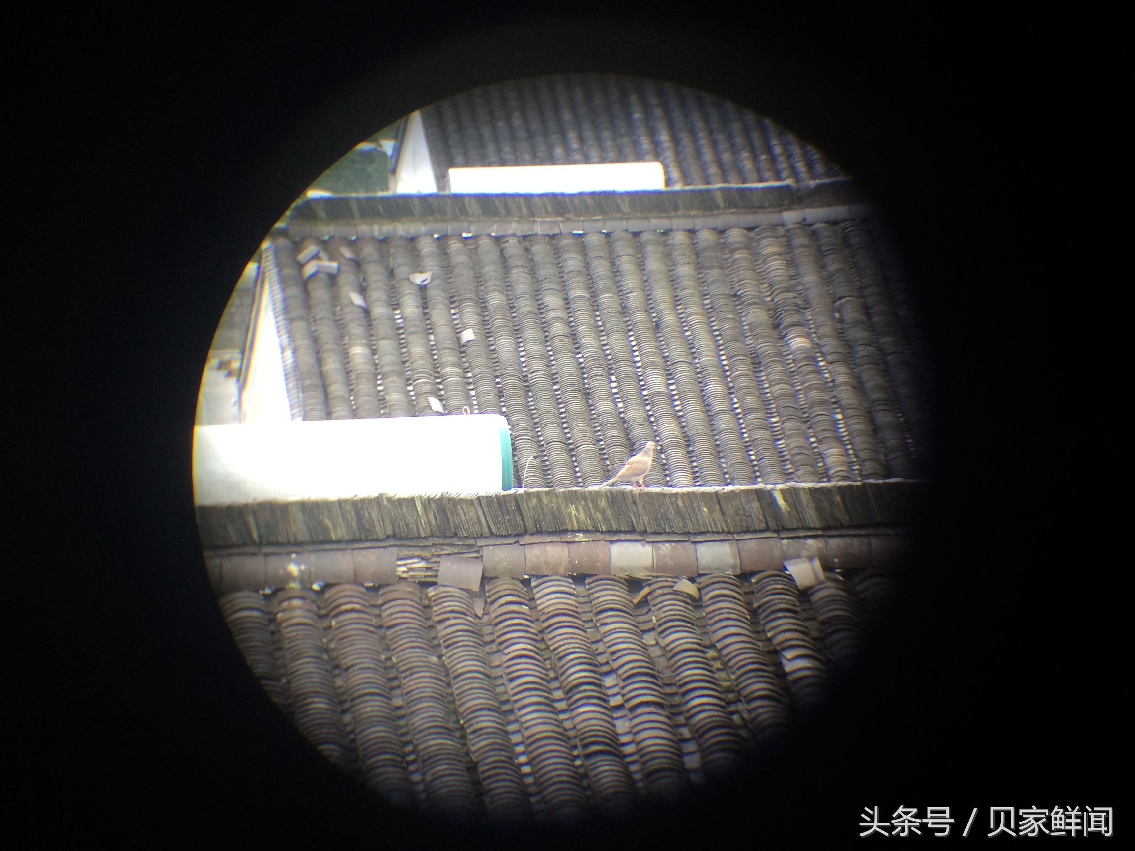 最高倍的望远镜能看多远,最高倍的天文望远镜