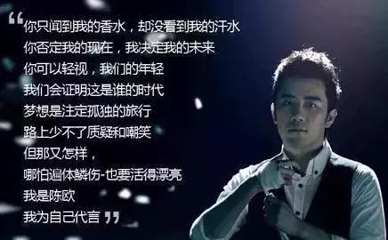 聚美陈欧败光百亿身价,聚美优品发展历程中的陈欧功绩