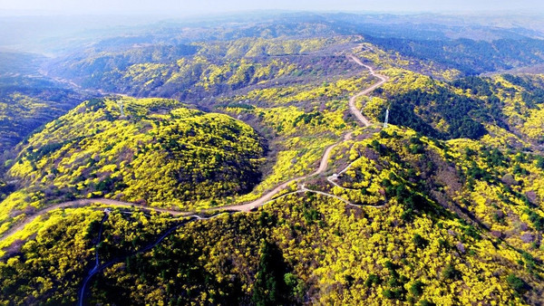山西最难方言的县,谈古论今忻州